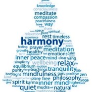 SEO Yoga Marketing | WordPress Meta Tags